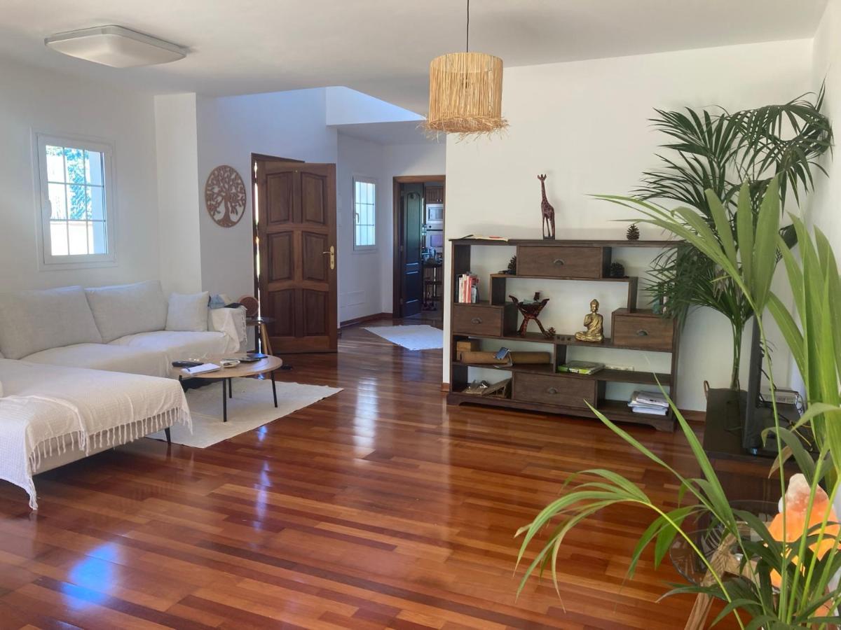ホテル Xanadu Coliving サンタ・ウルスラ エクステリア 写真
